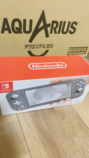スイッチライト「グレー」色 箱・充電器有
