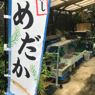 鹿児島県 鹿児島駅の中古データ1500円モンストが無料 格安で買える ジモティー 鹿児島県 鹿児島駅の中古データ1500円モンストが無料 格安で買える ジモティー