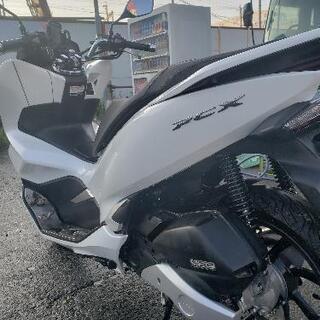 超 美車 Pcx 125 jf81 走行距離4200キロ