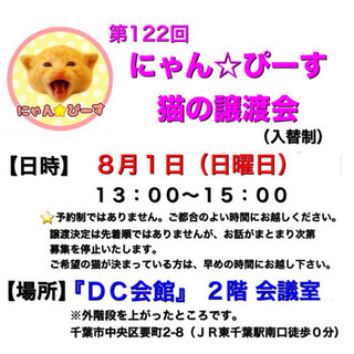 8月1日(日)🌸にゃん☆ぴーす猫の譲渡会🌸「DC会館」JR東千葉...