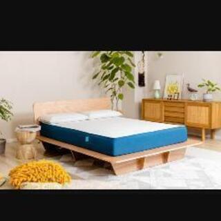 コアラマットレス本日