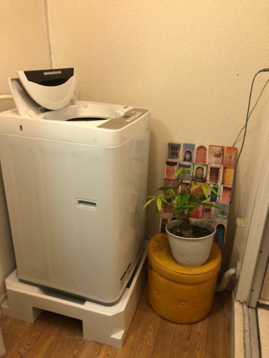 SHARP6キロ洗濯機⭐︎半年使用