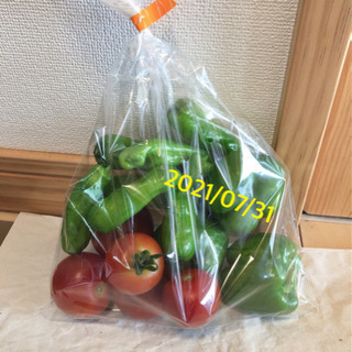 夏野菜セット 100円 7/31　ピーマン トマト ししとう