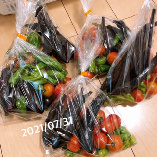 夏野菜セット 200円 7/31 無農薬野菜