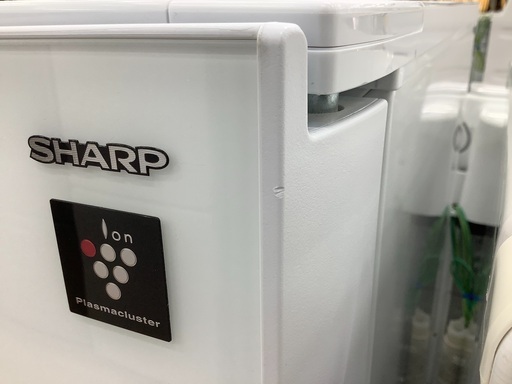 6ヶ月保証付！SHARP(シャープ)の2ドア冷蔵庫！