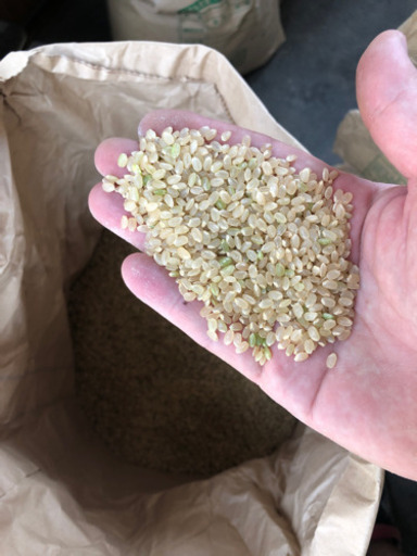 新米宮崎県産コシヒカリ1等30キロ 新米宮崎県産コシヒカリ1等30キロ