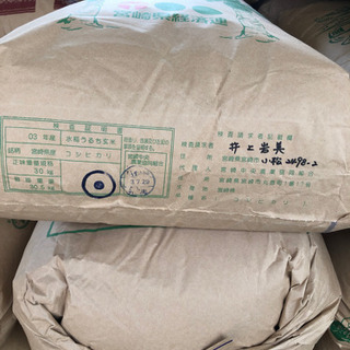 新米宮崎県産コシヒカリ1等30キロ