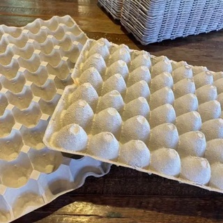 卵 ケース 紙製 コオロギ飼育 爬虫類飼育 工作 バラ売り