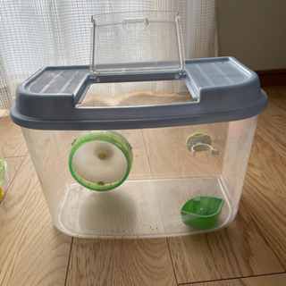 福岡県の中古ハムスターが無料 格安で買える ジモティー