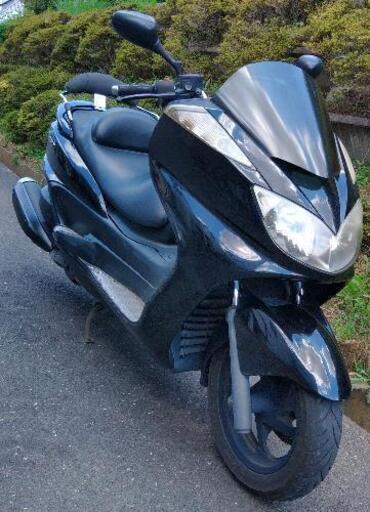 グランドマジェスティ250　(1449)