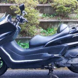 グランドマジェスティ250　(1449)