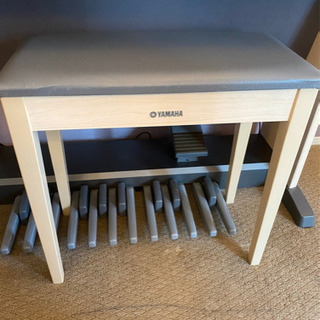 YAMAHA  ステージア ELB-02