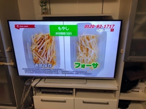 液晶テレビ　　55インチ　REGZA