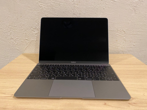 AppleCare+付/極美品 MacBook Retina 12-inch 2017 スペースグレイ【Core i5-1.30GHz/8GB/256GB】