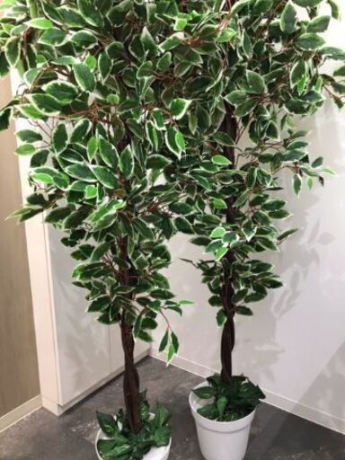 お売りします。