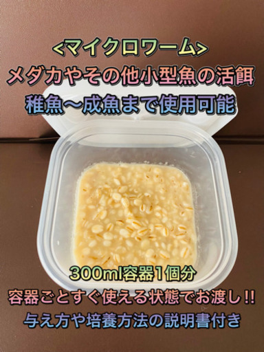 マイクロワーム メダカや小型魚の餌 300ml容器ごと1つ いおり 名鉄岐阜のその他の中古あげます 譲ります ジモティーで不用品の処分