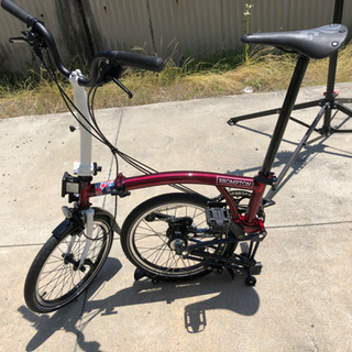 ブロンプトン  team gb