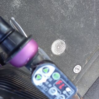 F1、直筆サイン、写真、ミカ・サロ選手の直筆サイン、ペーターザウバー