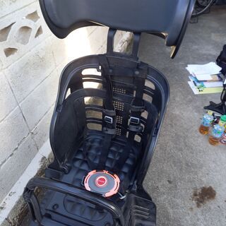 F1、直筆サイン、写真、ミカ・サロ選手の直筆サイン、ペーターザウバー