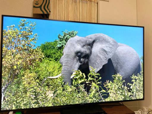 TH75HX900 4Kテレビ