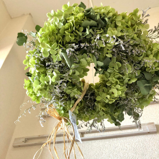 アナベル紫陽花フライングリース | www.jarussi.com.br