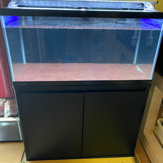 GEX ガラス水槽 12個 30㎝水槽 蓋付き 引き取り限定 | gulatilaw.com