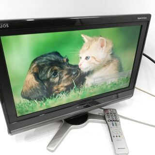シャープ 液晶 テレビ AQUOS LC-20D50 2009年