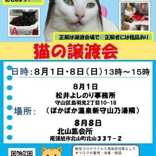 千歳と常磐、8日譲渡会に出ます！ - 猫