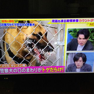 シャープ 32V型 液晶 テレビ ハイビジョン 薄型【リモコン付き】【✳️配送無料】⭐️値下げ⭐️