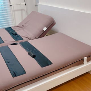【ネット決済】フランスベッド電動リクライニングベッド