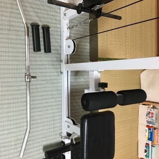 ラットプル&ロープーリーマシン、ウェイト28kg分付き　＊WILD FIT＊