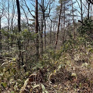 広島県山県郡で山林を借りてキャンプをしたい方を募集します！