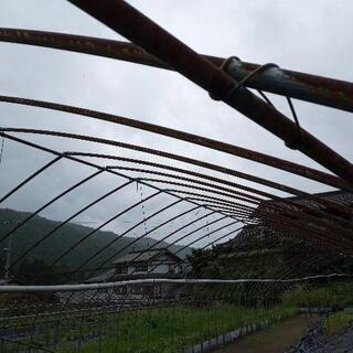 ビニールハウス 骨組み 25m✕5m✕2.75m 【公式通販】