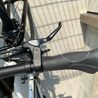 tern clutch ターン クラッチ サイズ480 クロスバイク