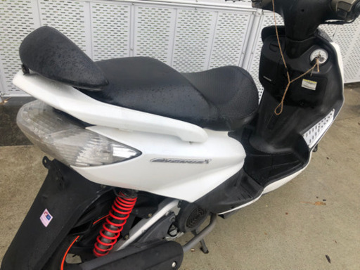 売れました！ 爆安 シグナス 125 XSR YAMAHA ヤマハ 原付2種 【公式通販】