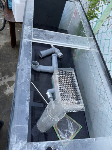 大型水槽 150cm 熱帯魚 アロワナ飼育