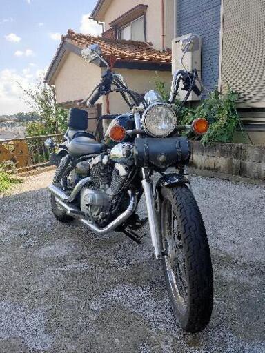 ビラーゴ250 低走行 美車 自賠責約3年付き 【公式通販】 ビラーゴ 250