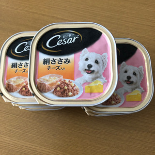 中古シーザーが無料 格安で買える ジモティー 中古シーザーが無料 格安で買える ジモティー