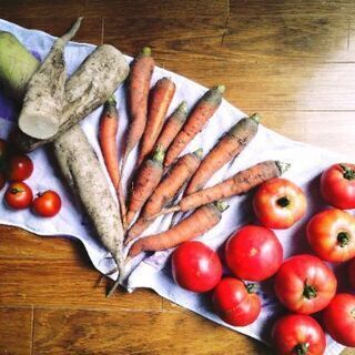 農薬不使用 ほぼ無肥料 大地と土の力だけで育った野生の野菜達！(広島の父作！)