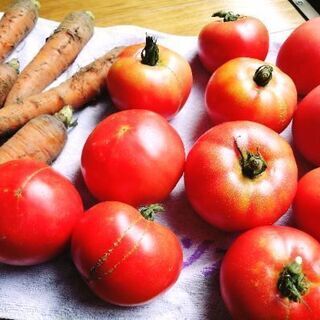 農薬不使用 ほぼ無肥料 大地と土の力だけで育った野生の野菜達！(広島の父作！)