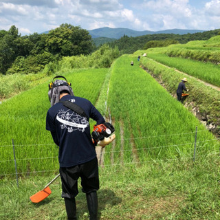 草刈り、除草、防草シート貼ります。