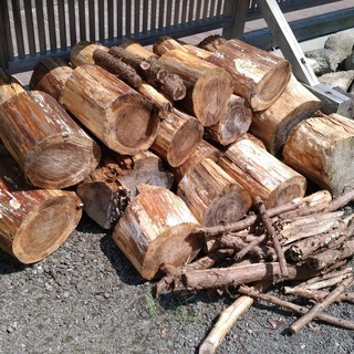 【薪、DIY用の木材などに】伐採した杉の丸太差し上げます