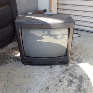 テレビ　無料