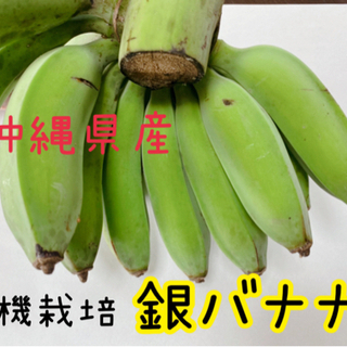 【ネット決済】沖縄県産★有機栽培★銀バナナ🍌🍌