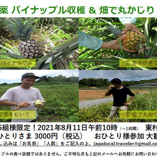 【8月11日】無農薬パイナップル収穫&畑で丸かじり体験