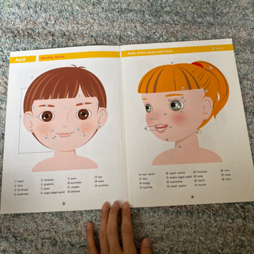 英語教材English1 (EQWELチャイルドアカデミー、七田チャイルド