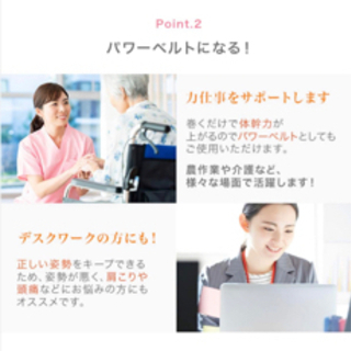 ガードナーベルト