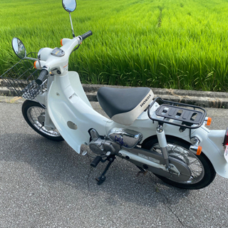 リトルカブ 限定車両 スケルトン