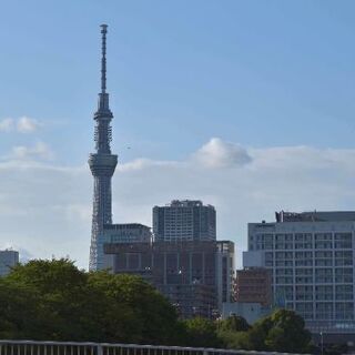 ゆる〜いウォーキング,散歩友達募集