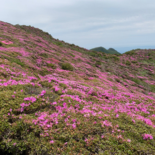 福岡アウトドア仲間募集（軽登山、キャンプ）の画像